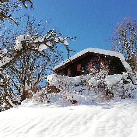 Ferienhaus Schnider Galgenul Exterior foto